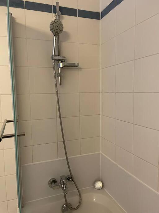 Geraeumige Altbauwohnung Im Zentrum Graz Ngoại thất bức ảnh