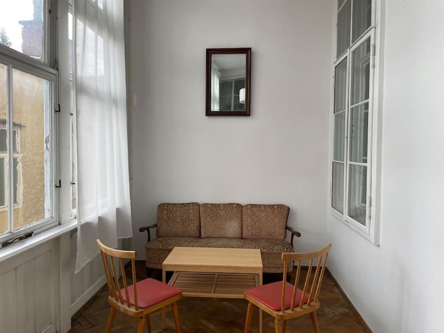Geraeumige Altbauwohnung Im Zentrum Graz Ngoại thất bức ảnh