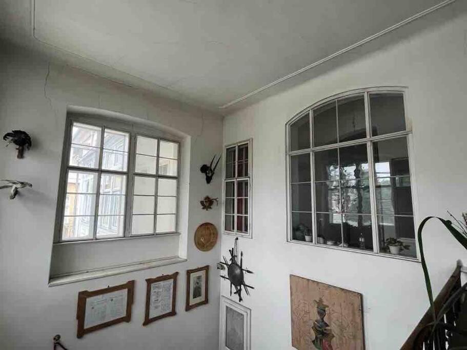 Geraeumige Altbauwohnung Im Zentrum Graz Ngoại thất bức ảnh