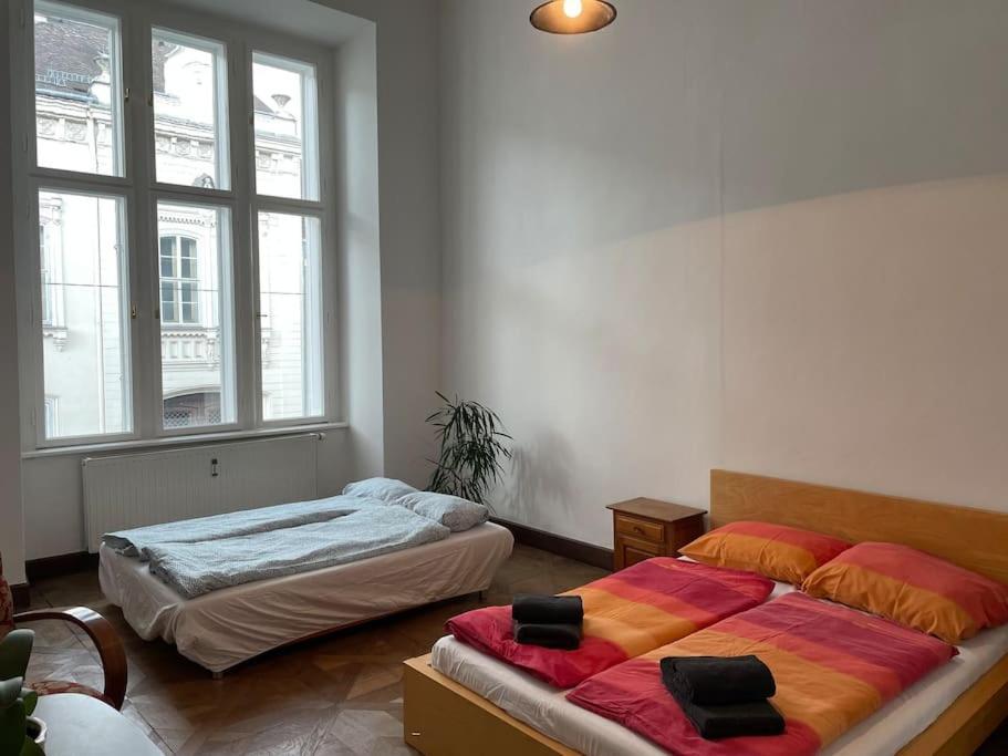 Geraeumige Altbauwohnung Im Zentrum Graz Ngoại thất bức ảnh
