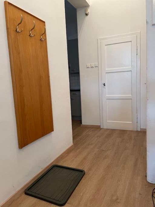 Geraeumige Altbauwohnung Im Zentrum Graz Ngoại thất bức ảnh