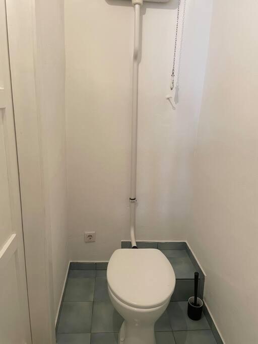 Geraeumige Altbauwohnung Im Zentrum Graz Ngoại thất bức ảnh