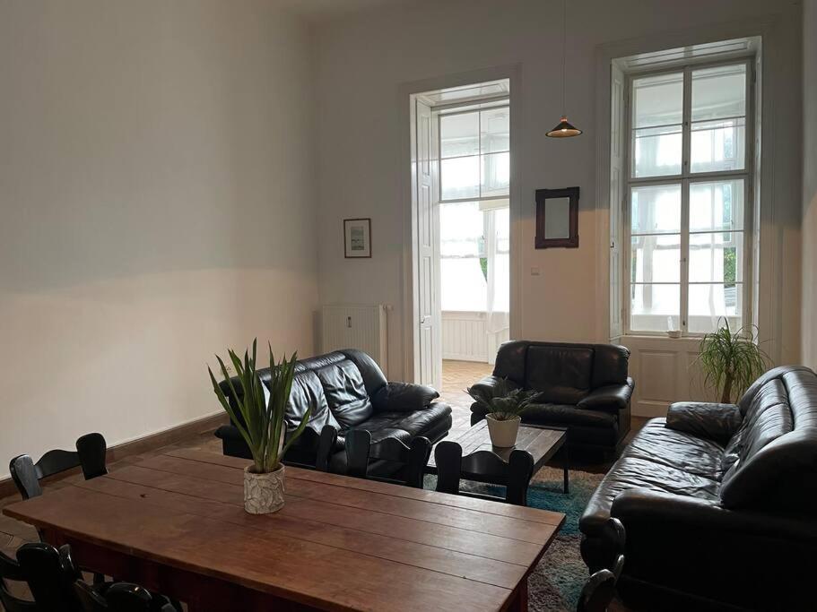 Geraeumige Altbauwohnung Im Zentrum Graz Ngoại thất bức ảnh