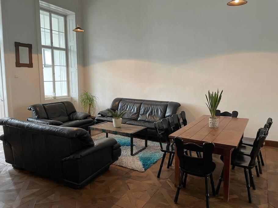 Geraeumige Altbauwohnung Im Zentrum Graz Ngoại thất bức ảnh
